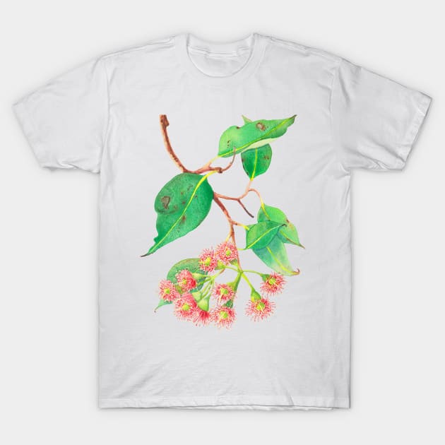 Red flowering eucalyptus branch watercolour T-Shirt by ZoyaArt